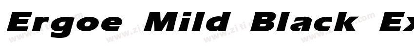 Ergoe Mild Black Exp字体转换